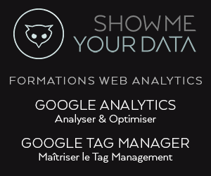 formation web analytics et google tag manager